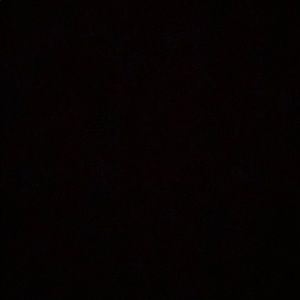 Meet your Posher, Beatriz